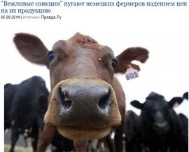 "Вежливые санкции" пугают немецких фермеров падением цен на их продукцию