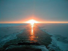 О значении Арктики для России и о том, как важно защитить её уникальную и очень ранимую экосистему, в эфире Pravda.Ru рассказала академик Арктической академии наук  Светлана Липина