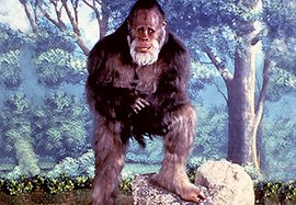 #йети #снежный человек