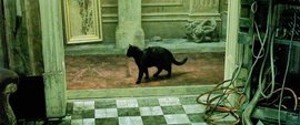 черная кошка, Матрица