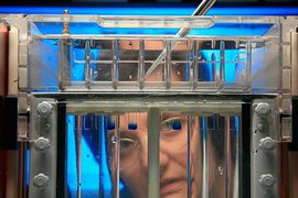 Ученые выяснили, что заставляет человека становиться либералом или консерватором