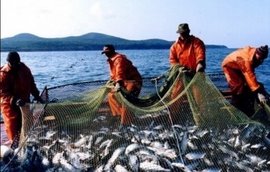 На Международном конгрессе рыбаков обсудили госрегулирование использования водных биоресурсов