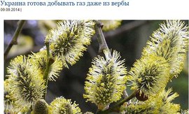 Украина готова добывать газ даже из вербы