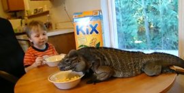 опоссум, зоомагазин, лягушка, игуана, мода, домашние питомцы, экзотические животные, экзотические животный, выставка экзотических животных, экзотические животные купить, экзотическое домашнее животное, экзотические домашние животные 