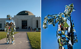 человек-зеркало