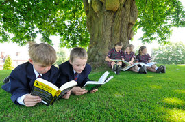 Великобритания повернется к детям гениталиями