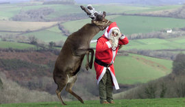 Санта-Клаус, олень