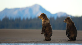 Аляска, Соединенные Штаты Америки