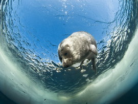 Путешествия по России - удел богатых?