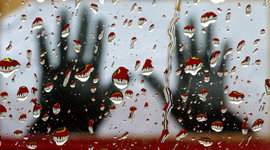 Фергюсон в каплях дождя