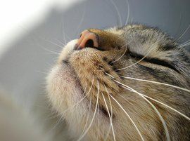 #наслаждение #секс #оргазм