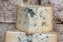 "Санкционный" сыр с плесенью начали производить в Краснодарском крае