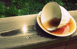 Ученые выяснили, почему пролитый чай собирается в лужицы 