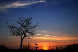 Опубликован рейтинг самых опасных убийц человека