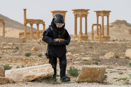 Пальмира, Сирия, руины, сапер