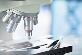 В Японии в честь британского коллеги из Университета Лестера микробиологи назвали... вид бактерий