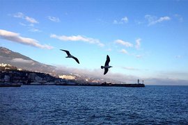  ЮНЕСКО: Все больше стран не считают, что Крым - украинский  