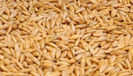 Ученые испекли хлеб по рецепту 12500-летней давности 