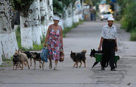 Сергей Чепик: Вступление одной части Украины в Таможенный союз - это абсурд