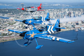 P-51 Mustang, истребитель