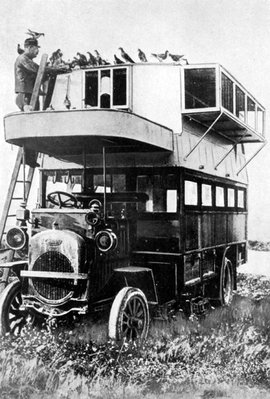 охота на голубей