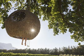 дом на дереве