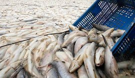 Латвийские предприятия могут не пережить запрета на экспорт продукции в Россию