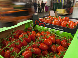 Сажи Умалатова: Санкции реанимируют сельское хозяйство России