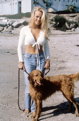 Памела Андерсон, собака