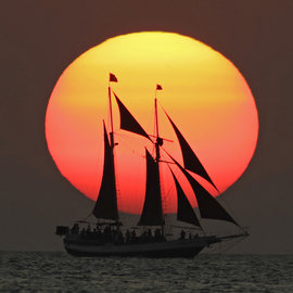 парусник, солнце