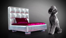 Королевская кровать, пес