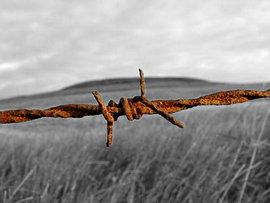 Несколько доказательств того, как Европа строит новый 'железный занавес':