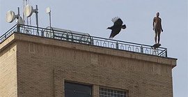 Как в Бразилии предотвращают самоубийства. Шокирующее видео