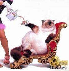 блюда, продукты, витамины, питание