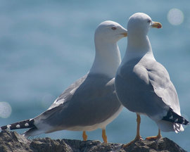 секс, любовь, семья, заботы, отношения, жизнь после сорока лет, женское счастье