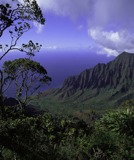 Долина Калалау, Гавайи