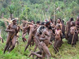 эрекция, секс, зачатие