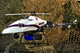 "Тень ястреба" 