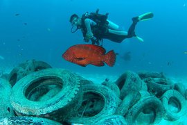 Крах туризма толкает Египет в объятия Саудовской Аравии