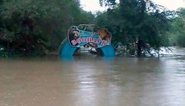 В зоопарке Уссурийска возобновилась эвакуация животных