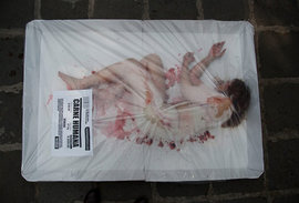 20 марта по всему миру прошли акции, посвященные Международному Дню без мяса