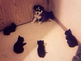 Как научиться искусству переговоров