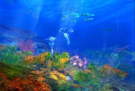 подводный мир, экспедиция
