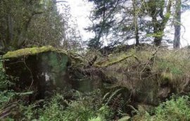 Убежище нацистов нашли в Аргентине. Кого и зачем прятали: 