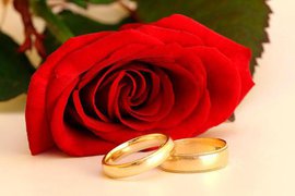 свадьба, кольца