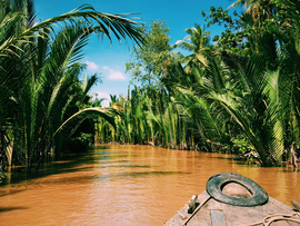 Меконг, река