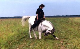 Лидия Артамонова