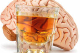 алкоголь, можно алкоголь,  продажа алкоголя, вино, пиво, память, стресс, настроение, нервные клетки 