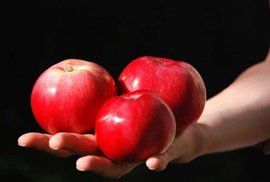 Мозг- настоящий альтруист