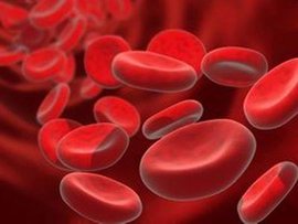 спид, университет, англия, ученый, кровь, переливание, кровь, анализ крови, группа крови, норм крови, настоящая кровь, сахар в крови, гемоглобин, лимфа, антигены